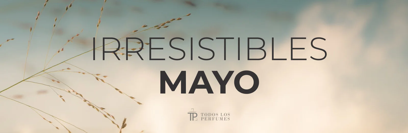 irresistibles mayo